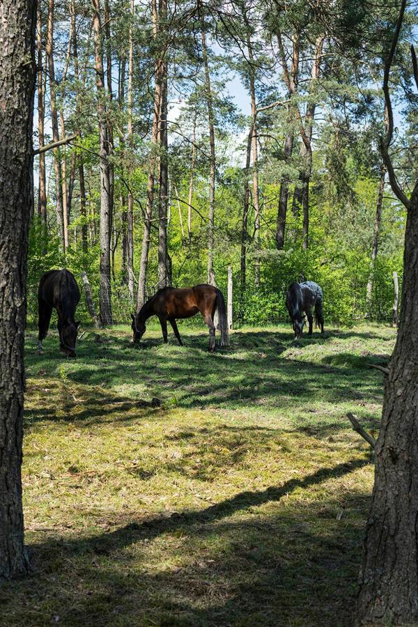 Arche Siedlisko Pilka Appartamento Lubliniec Esterno foto