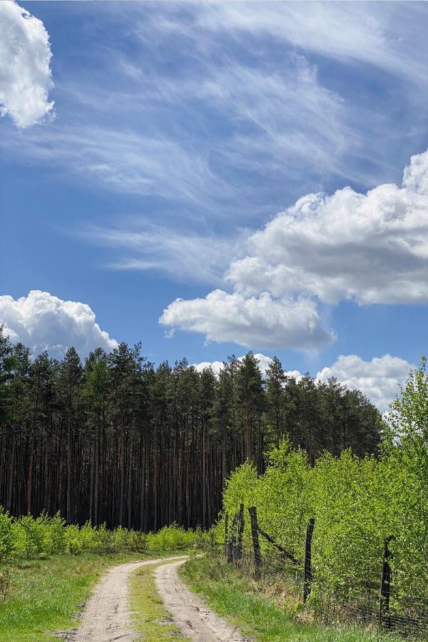 Arche Siedlisko Pilka Appartamento Lubliniec Esterno foto