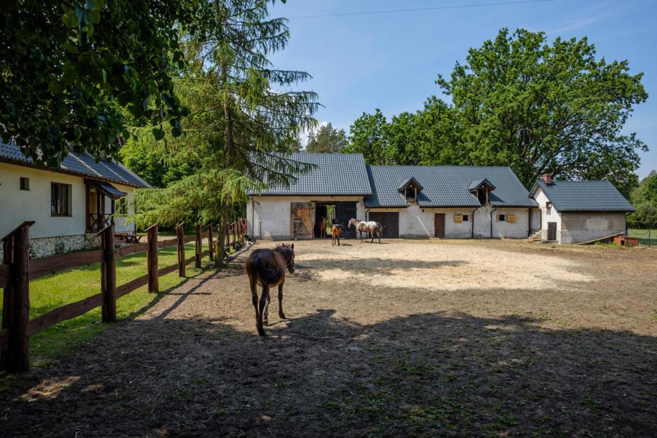 Arche Siedlisko Pilka Appartamento Lubliniec Esterno foto