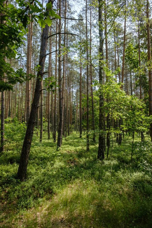 Arche Siedlisko Pilka Appartamento Lubliniec Esterno foto