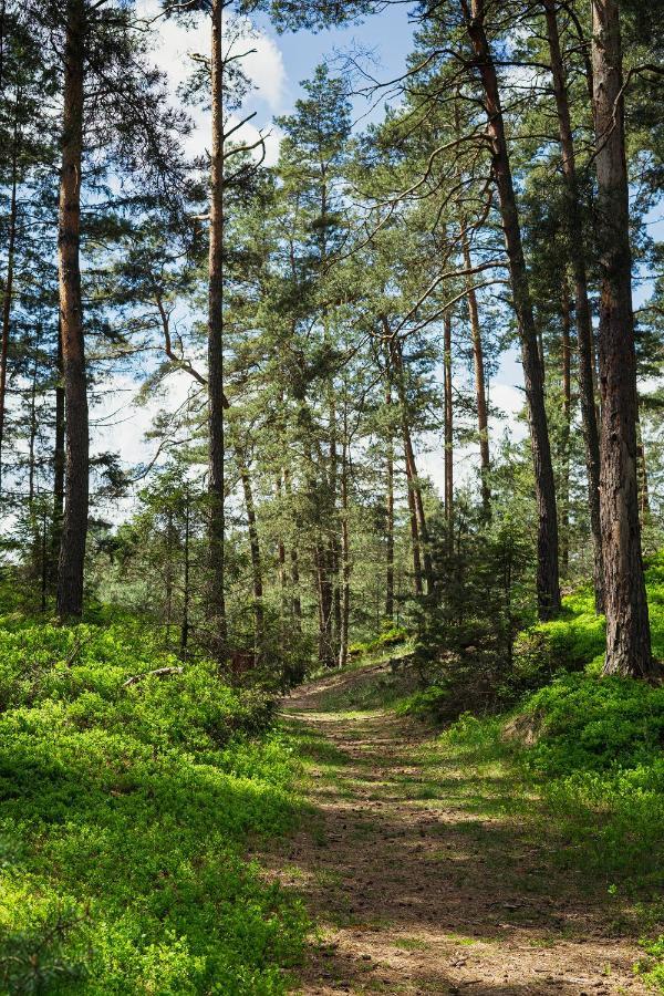 Arche Siedlisko Pilka Appartamento Lubliniec Esterno foto