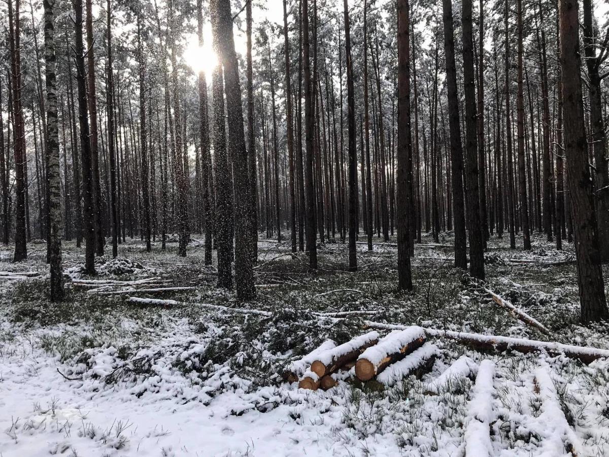 Arche Siedlisko Pilka Appartamento Lubliniec Esterno foto