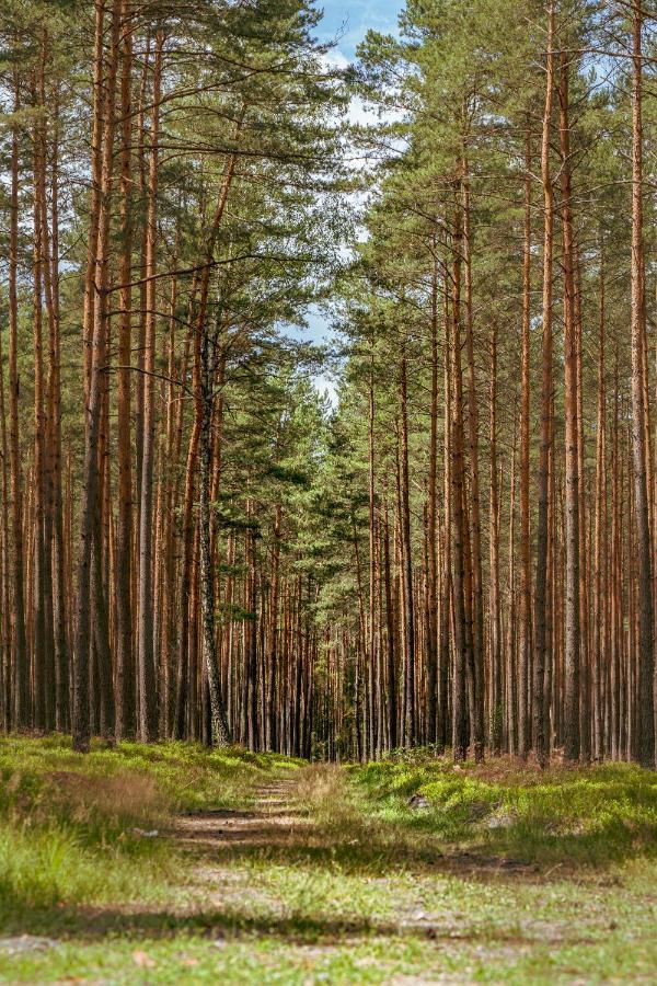 Arche Siedlisko Pilka Appartamento Lubliniec Esterno foto